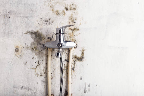 Kensington Park, FL Mold Remediation Company