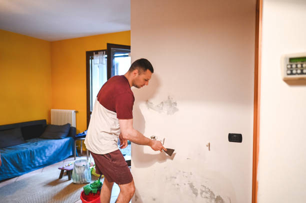 Best Mold Remediation for Specific Building Types in Kensington Park, FL